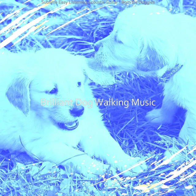 Sublime Easy Listening Acoustic Guitar - Bgm for Doggies