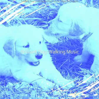 Sublime Easy Listening Acoustic Guitar - Bgm for Doggies by 