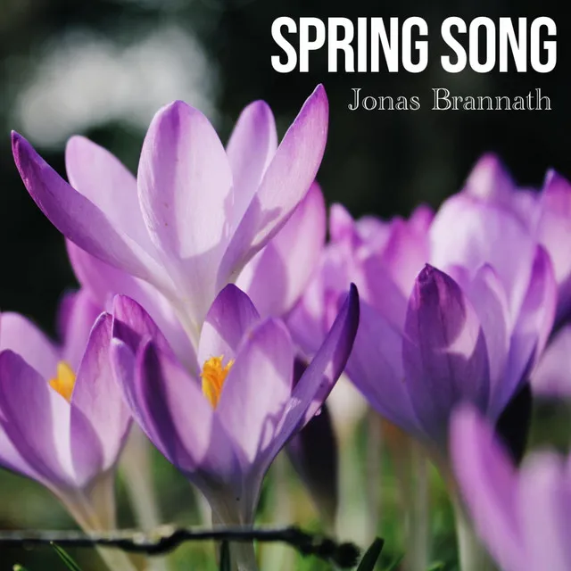 Spring Song