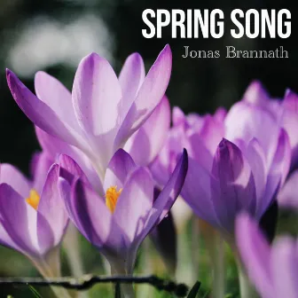 Spring Song by Jonas Brannath