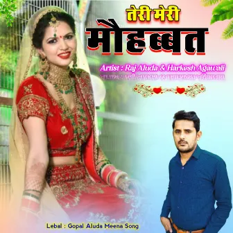 Teri Meri Mohabbat by Harkesh Agawali