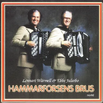 Hammarforsens brus by Ebbe Jularbo