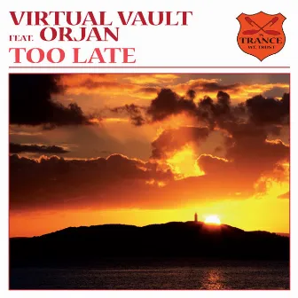 Too Late by Virtual Vault