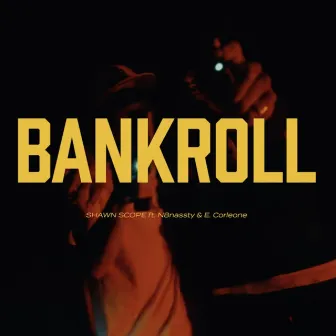 BANKROLL by Unknown Artist