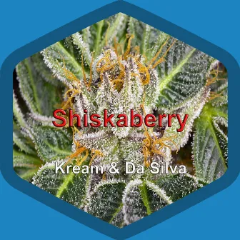 Shiskaberry by Kream