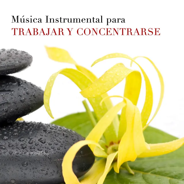 Música Instrumental para Trabajar y Concentrarse en la Oficina - Sonidos de la Naturaleza (Lluvia, Viento, Olas del Mar) juntos a Instrumentos Musicales Relajantes como Flauta de Pan, Piano, Ocarina