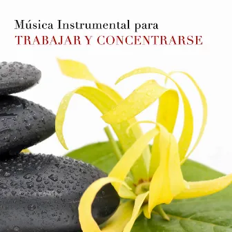 Música Instrumental para Trabajar y Concentrarse en la Oficina - Sonidos de la Naturaleza (Lluvia, Viento, Olas del Mar) juntos a Instrumentos Musicales Relajantes como Flauta de Pan, Piano, Ocarina by Noche de Paz