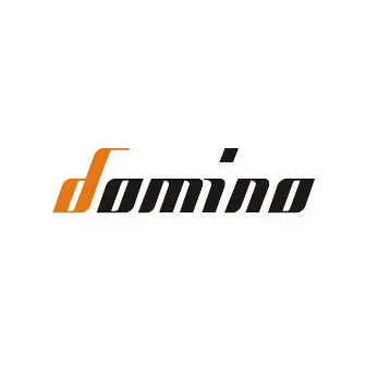 Domino by Domino