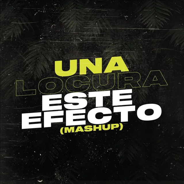 Una Locura Este Efecto (Mashup)