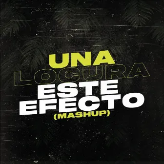 Una Locura Este Efecto (Mashup) by Sebaa Maza