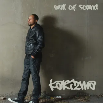 Wall of Sound by Karizma