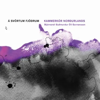 Á svörtum fjöðrum by Guðmundur Óli Gunnarsson