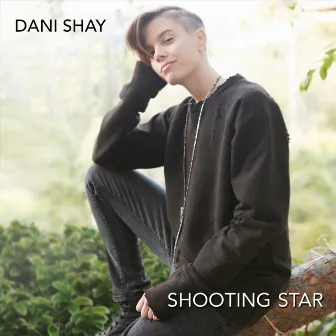 Shooting Star by Dani Shay