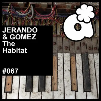 The Habitat by Jerando