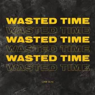 Wasted Time by Liam Seys