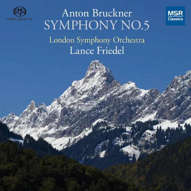 Symphony No. 5 in B-Flat Major, WAB 105: II. Adagio - Sehr langsam