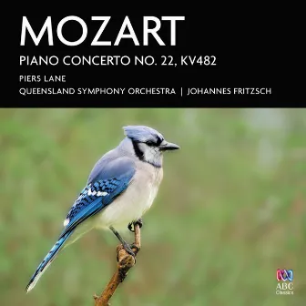 Mozart Piano Concerto No. 22, K. 482 by Johannes Fritzsch