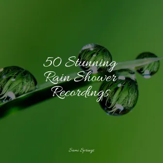 50 Stunning Rain Shower Recordings by Canción de Cuna