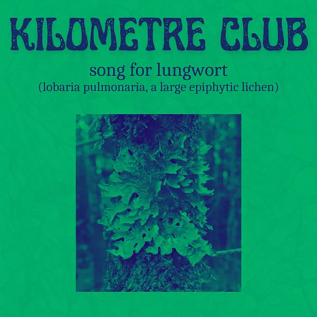 Song for Lungwort (lobaria pulmonaria, a large epiphytic lichen)