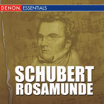 Schubert - Rosamunde by Oksana Sowiak