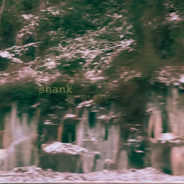 shank