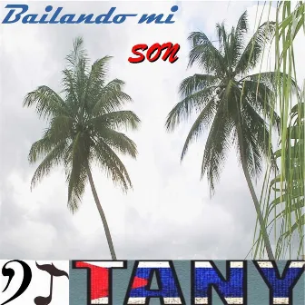 Bailando Mi Son by DJ Tany