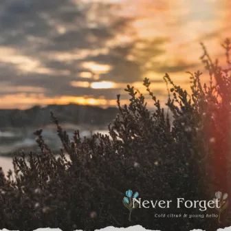 Never Forget by Cold citru$