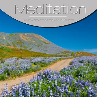 Meditation, Vol. Grey, Vol. 3 by Meditation String