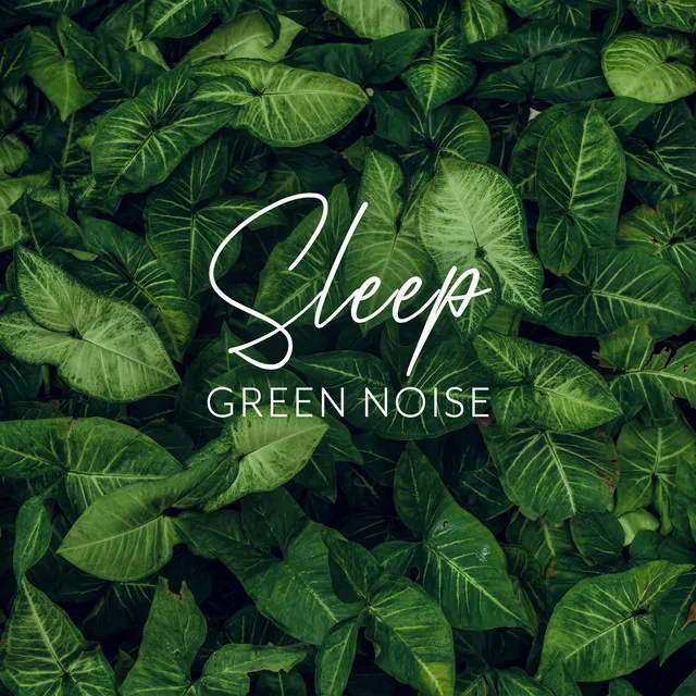 Green Noise: Sweet Dreams