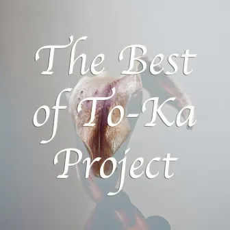 The Best of To-Ka Project by Toka Project