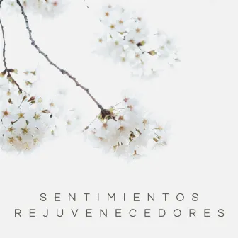 Sentimientos Rejuvenecedores by Ruido De Colores