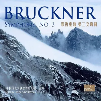 布鲁克纳：D小调第三交响曲（Bruckner: Symphony No. 3 in D minor） by Unknown Artist