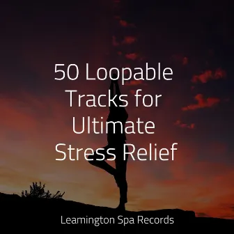 50 Loopable Tracks for Ultimate Stress Relief by Nature Recordings