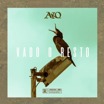 Vado o resto by Ako