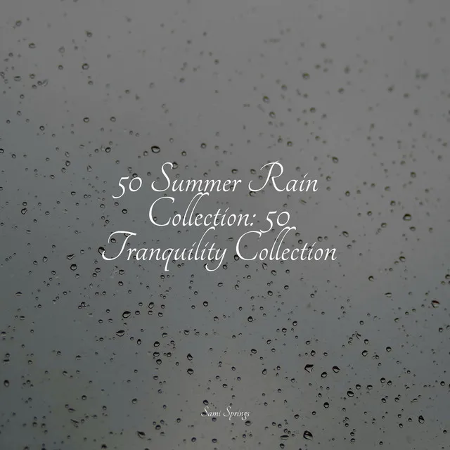 50 Summer Rain Collection: 50 Tranquility Collection