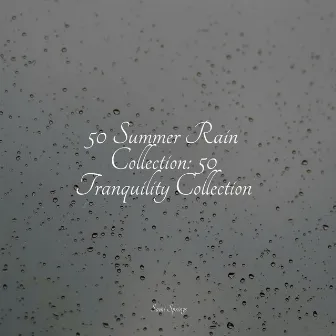 50 Summer Rain Collection: 50 Tranquility Collection by Rain Sounds For Sleep