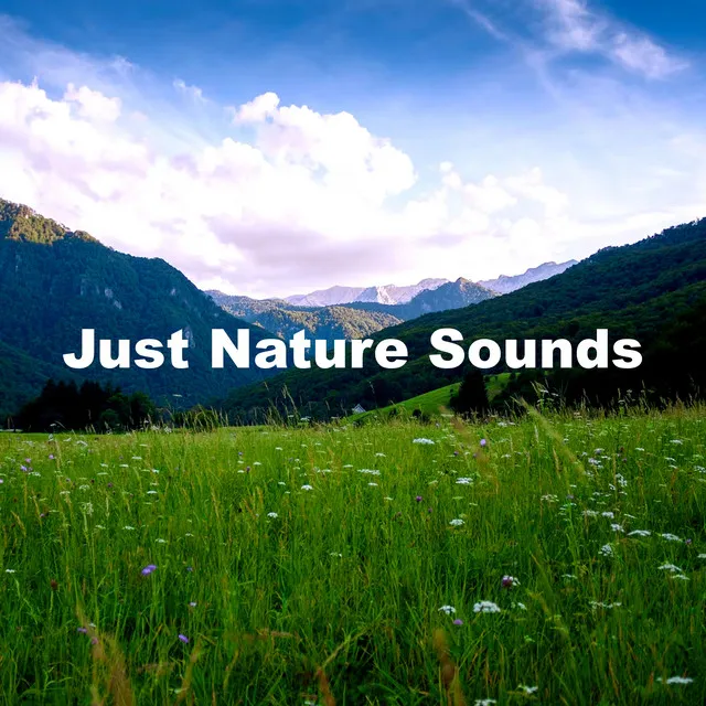 Just Nature Sounds