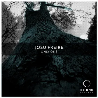 Only One by Josu Freire