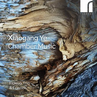 Xiaogang Ye: Chamber Music by Xiaogang Ye