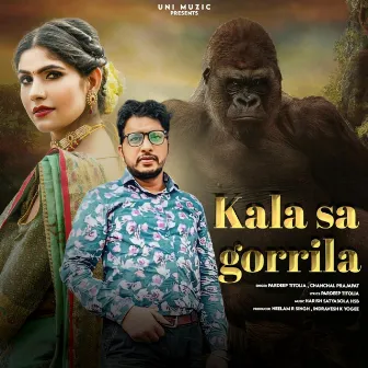 Kala Sa Gorrila by Chanchal Prajapat