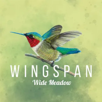 Wide Meadow (Wingspan Original Video Game Soundtrack) by Paweł Górniak