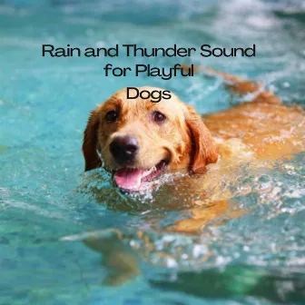 Rain and Thunder Sound for Playful Dogs by Water sound bank