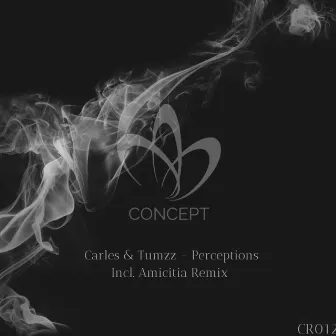 Perceptions by Carles