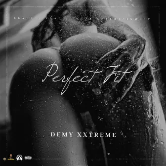 Perfect Fit by Demy Xxtreme