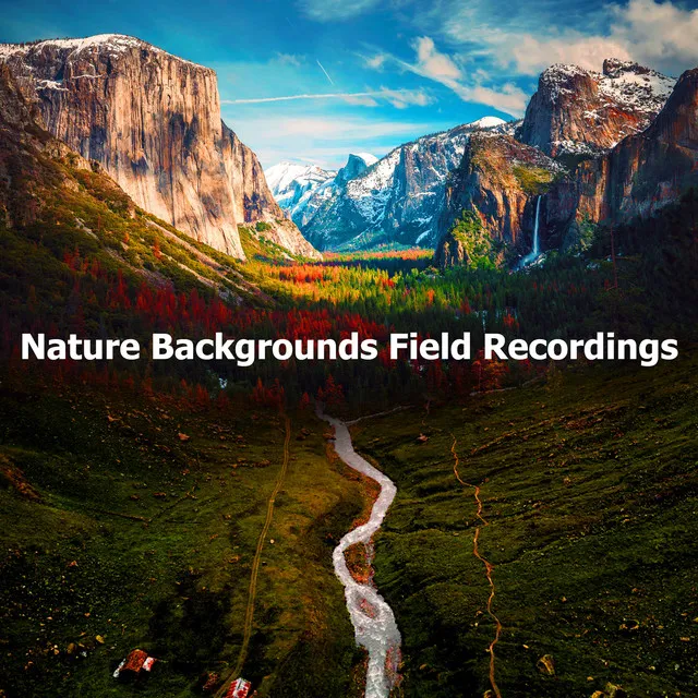 Nature Backgrounds Field Recordings