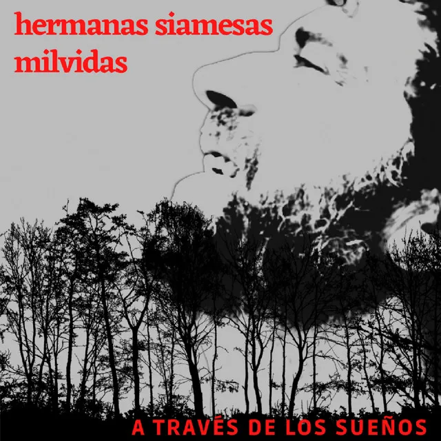 A Través De Los Sueños