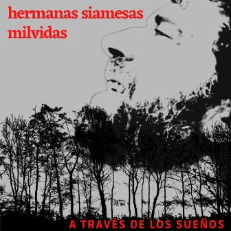 A Través De Los Sueños by Milvidas