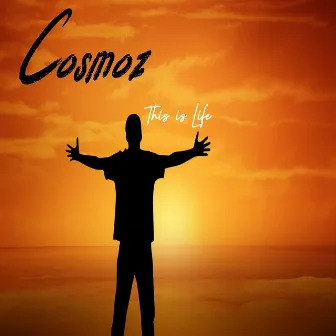 This Is Life by Cosmoz