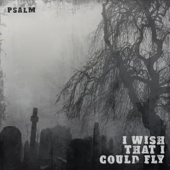 I Wish That I Could Fly by Psalm