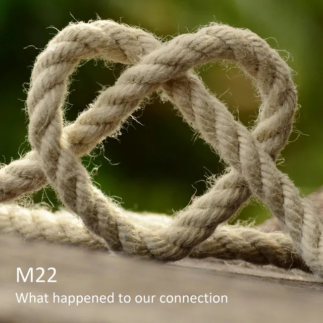 What Happened to Our Connection